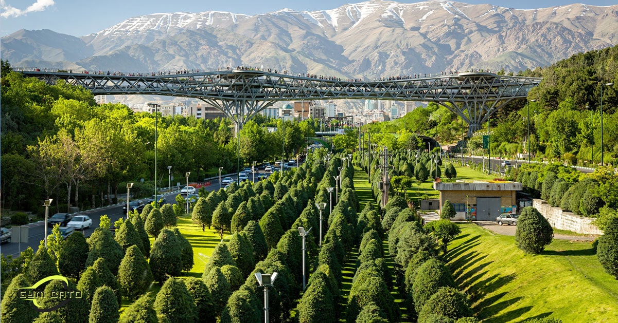 پل طبیعت برای پیاده روی