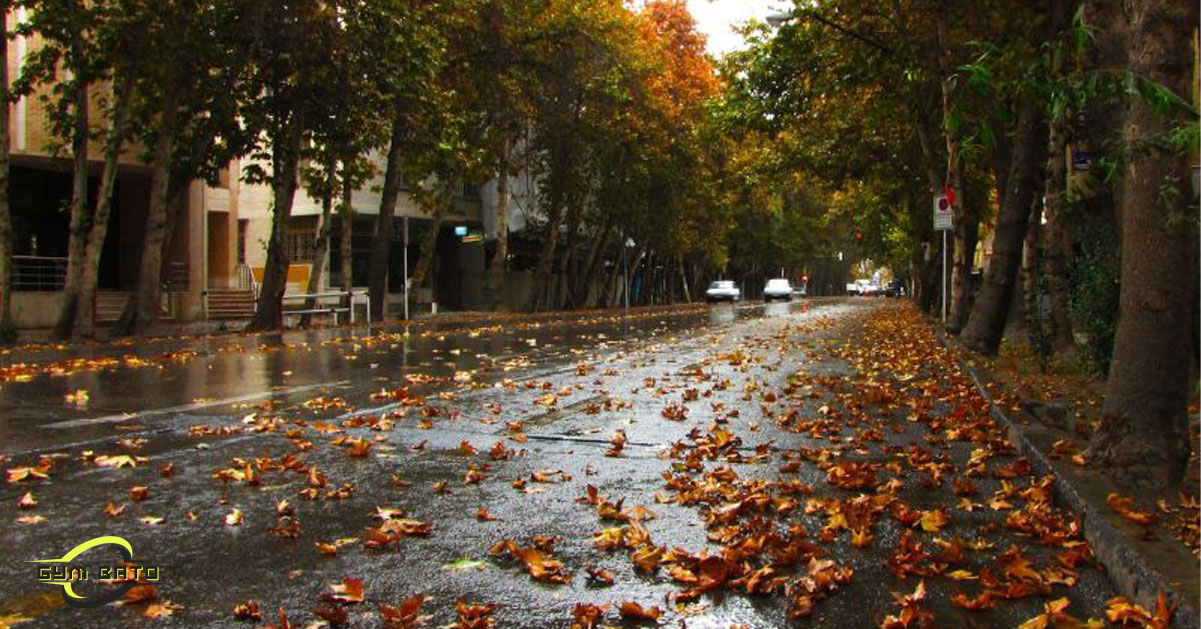 خیابان برای پیاده روی